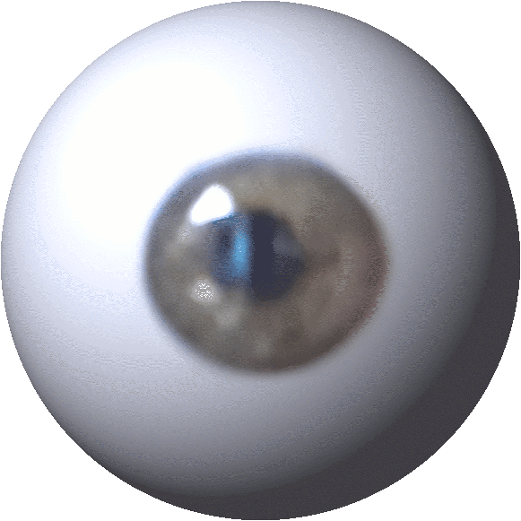 my eyeball